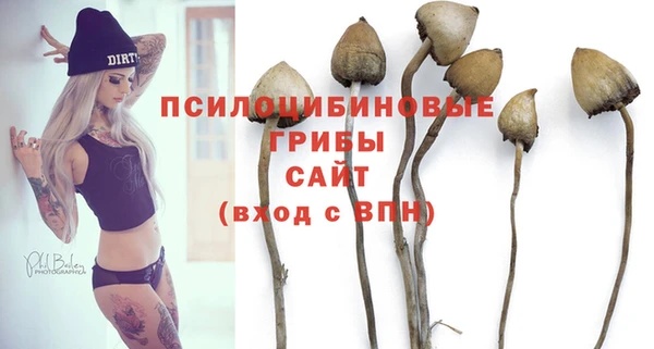 PSILOCYBIN Касимов