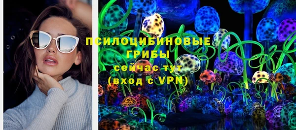 PSILOCYBIN Касимов