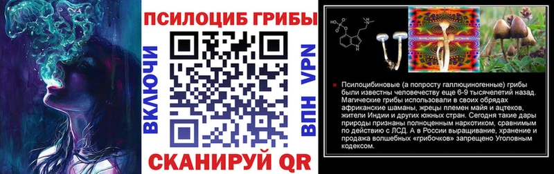 Псилоцибиновые грибы GOLDEN TEACHER Купить Шагонар
