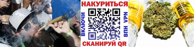 Бошки Шишки гибрид  Купить где  Шагонар 